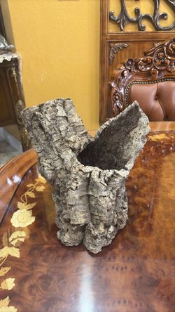 Tree trunk
