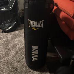 Everlast MMA punching Bag