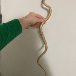 Gold Snake 
