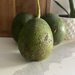 Gem And Hass Avocados 
