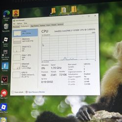 Gaming Pc And Monitor