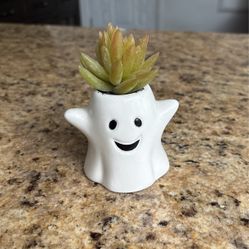 Small Succulent Ghost Decoration