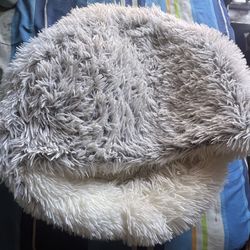 dog bed can be used for cats too