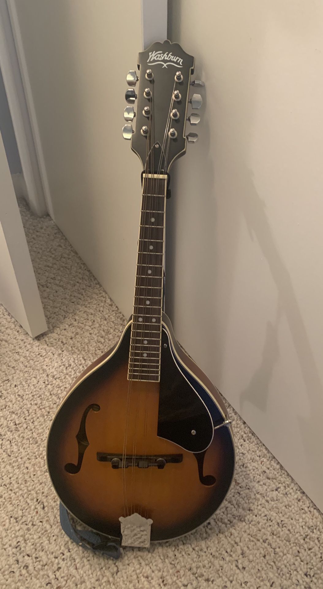 New Washburn MIK Mandolin Guitar