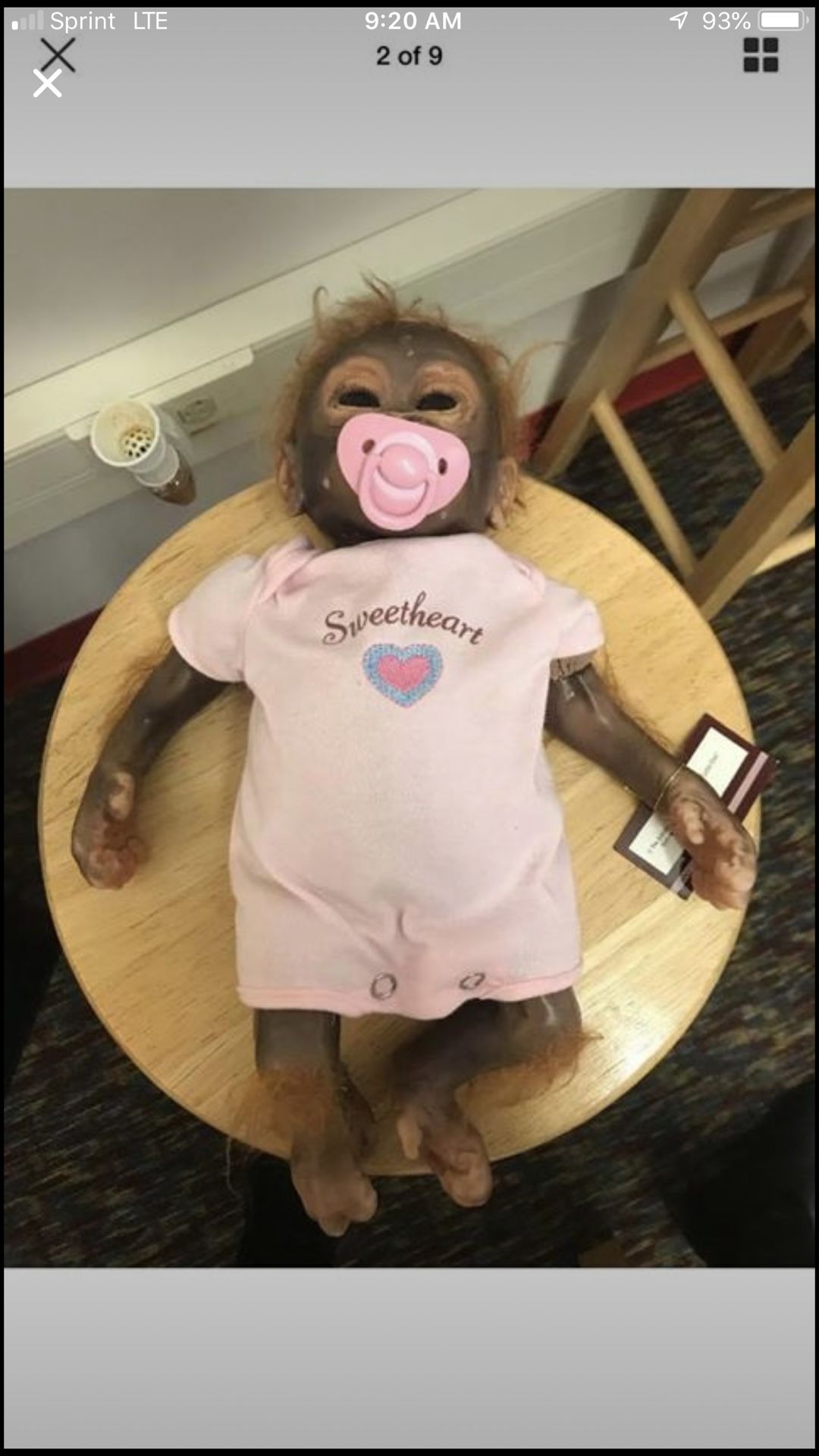Ashton Drake Collection Little Umi Orangutan Baby Collectible