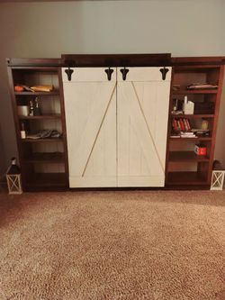 Wall unit with Barndoors