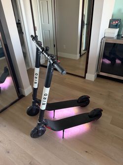 Bird electric scooter