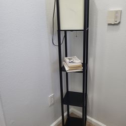 Light Fixture/Book  Shelf