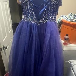 Annelee Quinceanera Dress Size 14