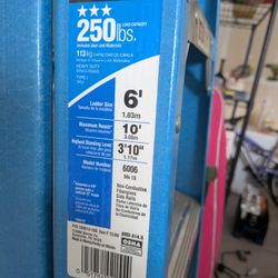 Werner 6 Foot Ladder