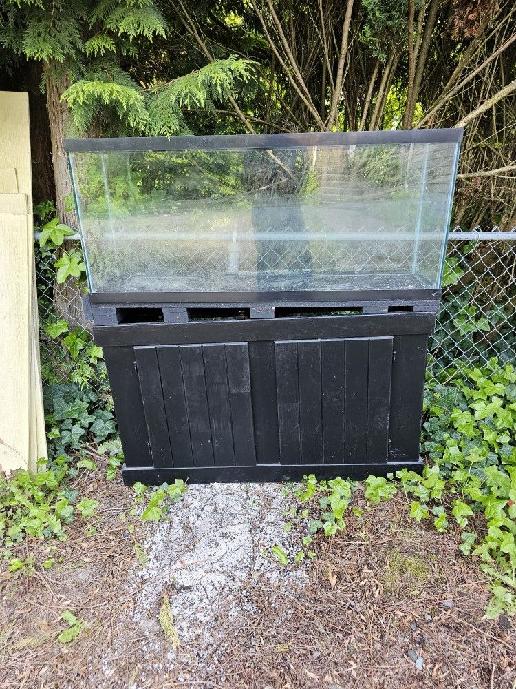 55 Gallon Terrarium And Stand