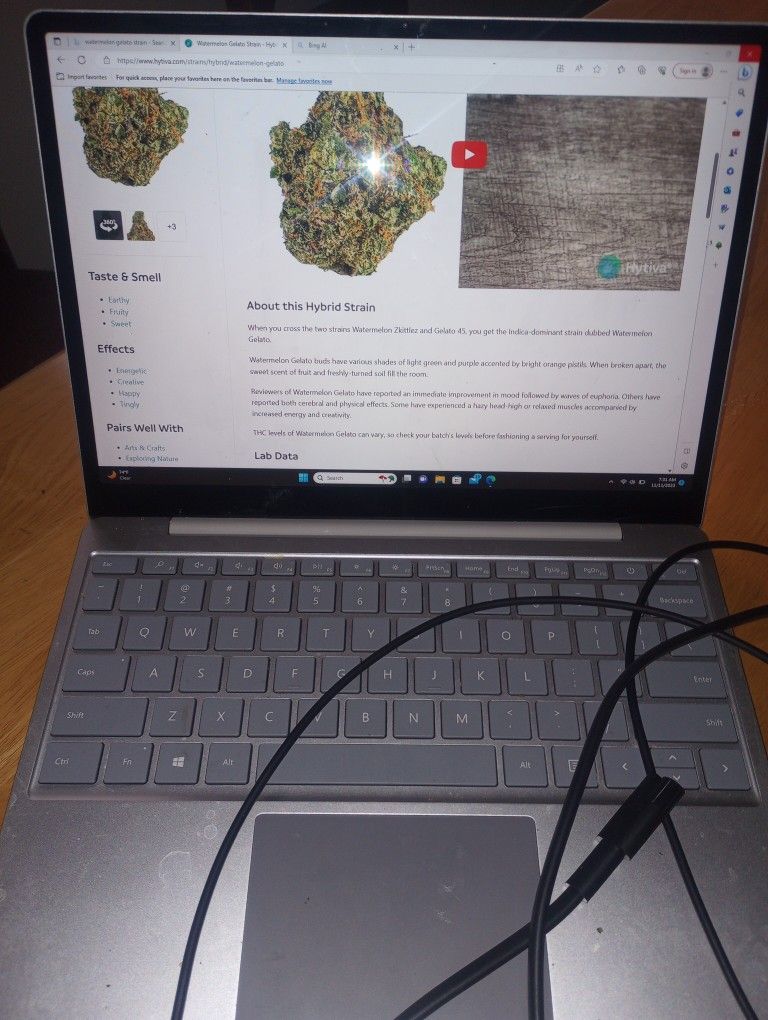 Microsoft Surface Pro 11