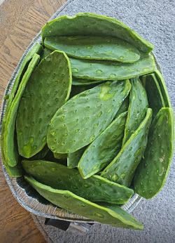 Nopales