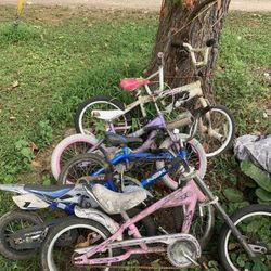 5 Kids Bikes Must Take All 