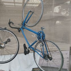 Bicicletas 