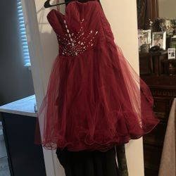 Dress Above The Knee 