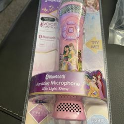Princess Karaoke microphone 