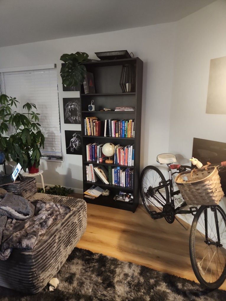 Black IKEA Billy Bookcase