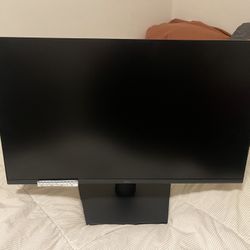 DELL SCREEN
