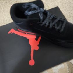 Air Jordan 3 Black Cat
