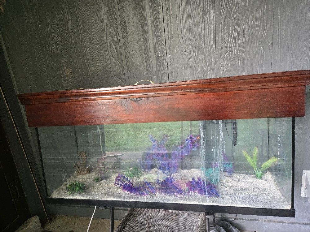 55 Gallon Fish Tank