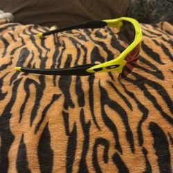 Oakley Sunglasses 