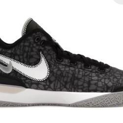 Nike Lebron Zoom NXXT Gen