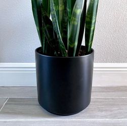 PEACH & PEBBLE Modern Porcelain Black Pot Planter