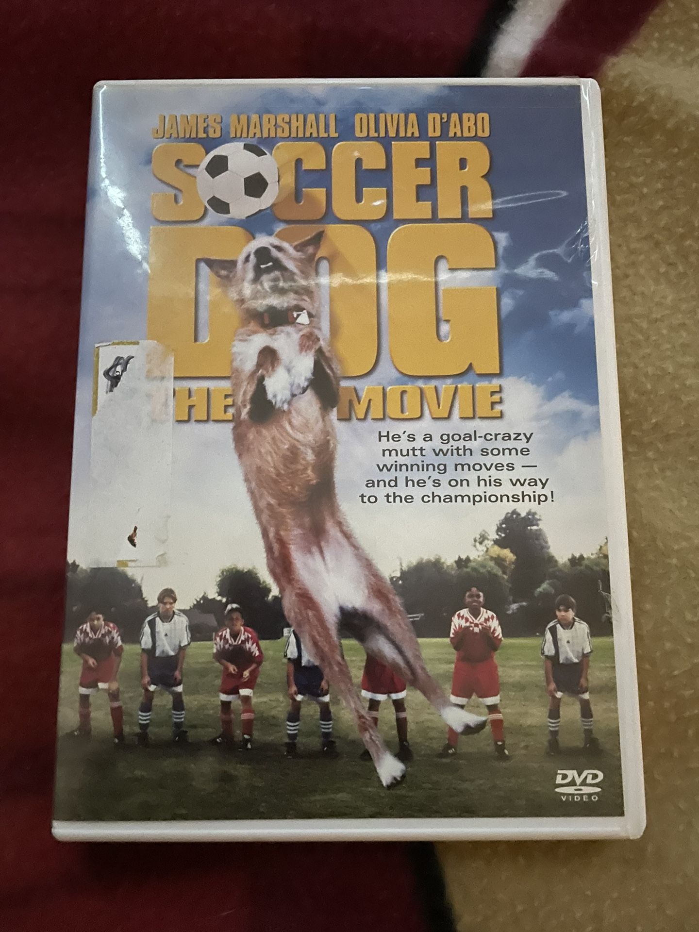 Soccer Dog The Movie DVD