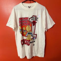 Vintage 1993 Chicago Bulls T-shirt L