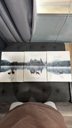 3 piece wall painting decor