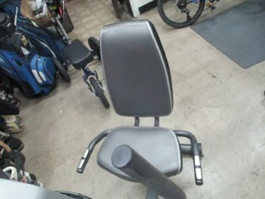 gold's gym spin bike 310