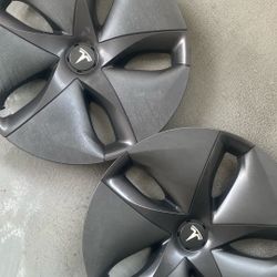 Tesla Hubcaps