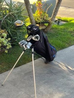 └➤➤➤ Men's Right-Handed | Wilson Golf Set | 10 Clubs + Golf Bag