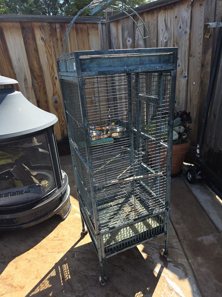 Brid Cage