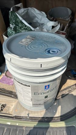 Paint