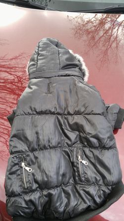 Large dog cut outfit with furry hoodie