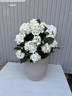 New 35” Faux Hydrangea Floor Plant – Real Touch Petals w/ Planter.