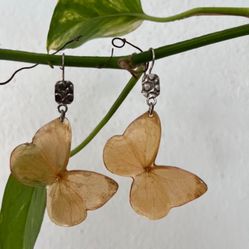One of a kind set of real butterfly earrings with sterling silver accents. 