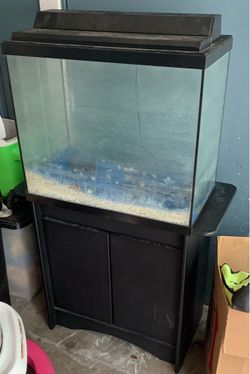 Fish tank