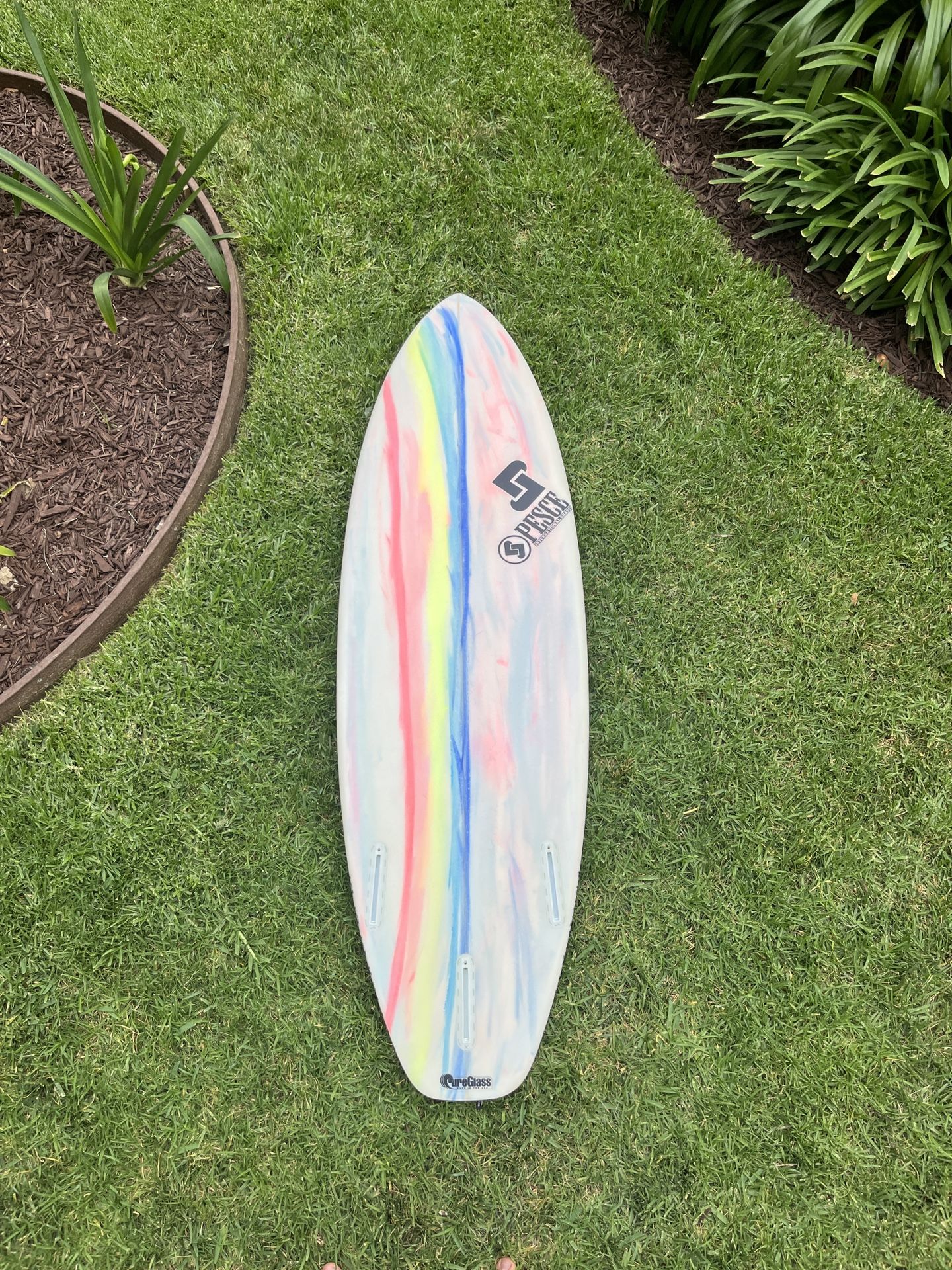 Pesce Surfboard