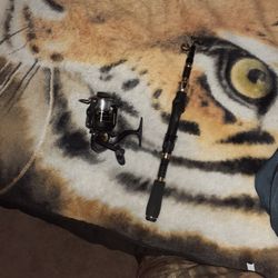 Detachable Fishing Pole With Bag