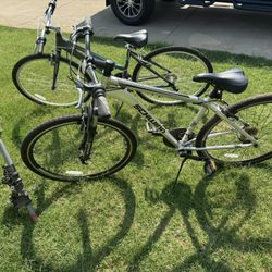 Schwinn Adult Bikes 