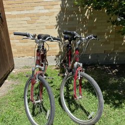 2 Schwinn Boy And Girl Suburban Bikes