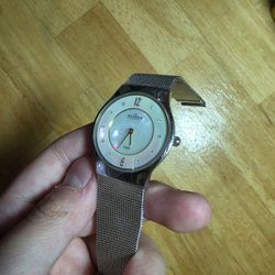 Skagen Denmark Watch 233SSSG (Retail $120)