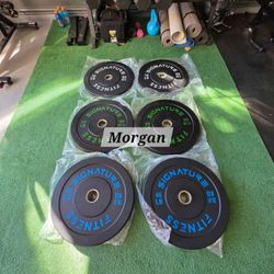 Premium weight set bumper (160lb) gym