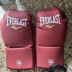 Everlast MX2 Fight Gloves 10oz