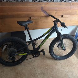 Specialized Bike For Sale 