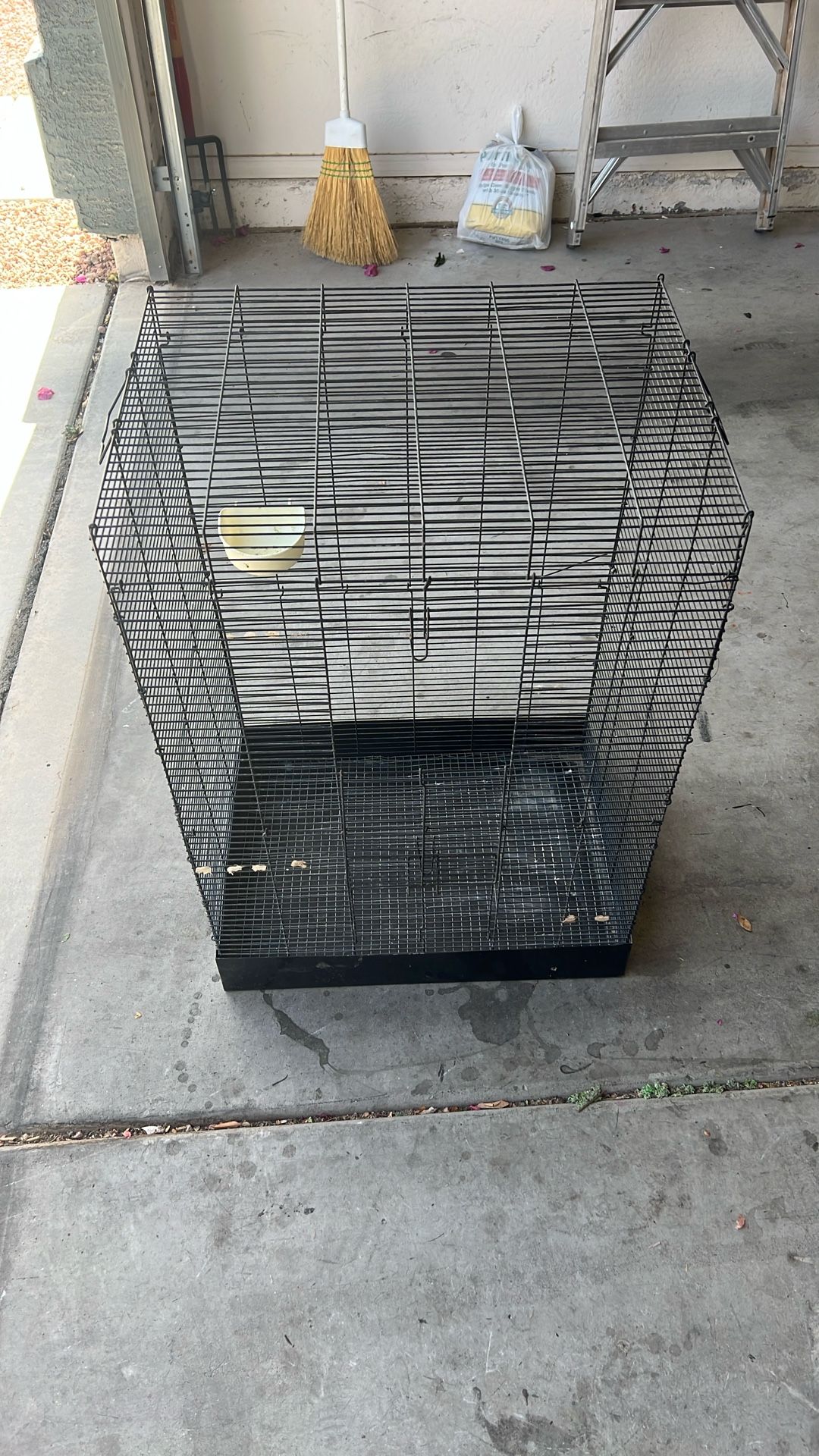 Bird Cage