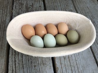 Fresh Chicken Eggs Food Security Baby Chicks